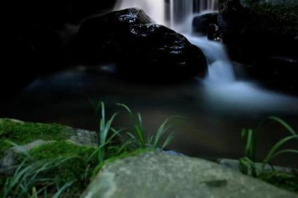 山涧水：大师们揭秘生命的灵动之源