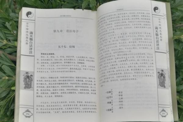滴天髓十天干详解：深入理解命理核心