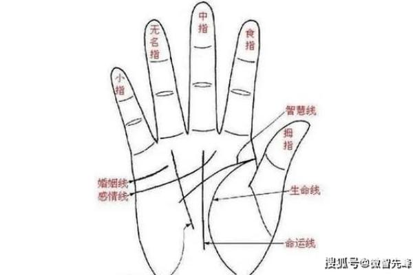 手相揭秘：你的结婚年龄线暗示了什么？
