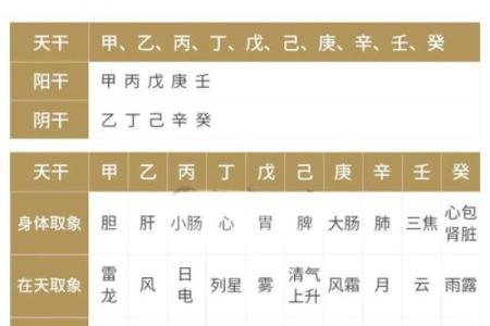 探秘八字：你不知道的八字组成部分！