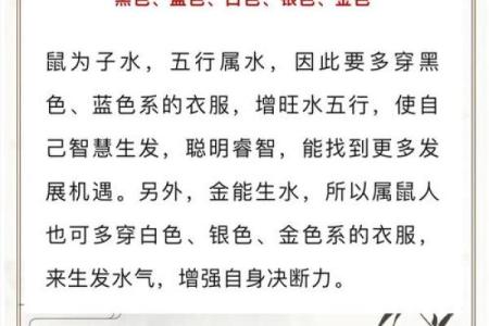 属鼠人竟是木命？揭秘生肖背后的神奇奥秘