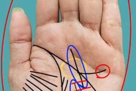 揭秘手相秘密：一眼看透命运，你的命运线藏在哪里？