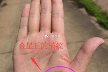 揭秘女性魅力手相：美丽与运势双重解读