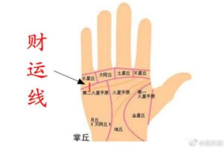 一掌在手，财运亨通——揭秘八大丘手相的秘密