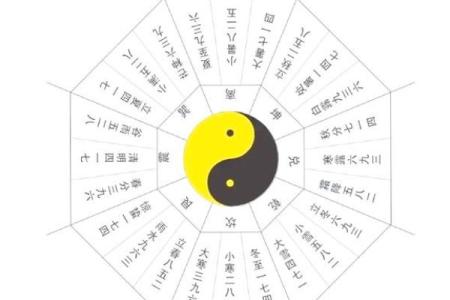 四柱排盘揭秘：中华预测网让你准确掌握命运脉络