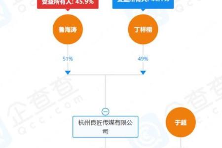 领先一步，数字化公司名称如何影响品牌价值