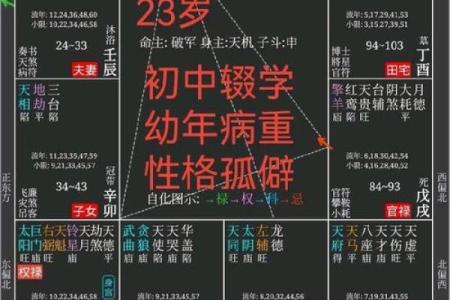 必试的八字排盘网站：助你深度解读命理密码