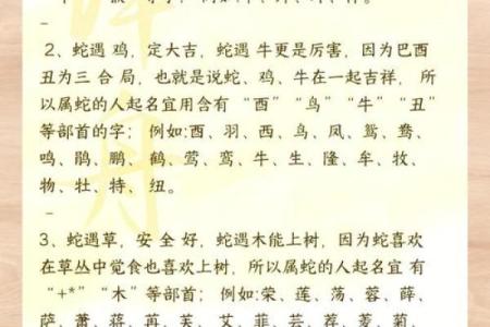 最佳宝宝起名指南