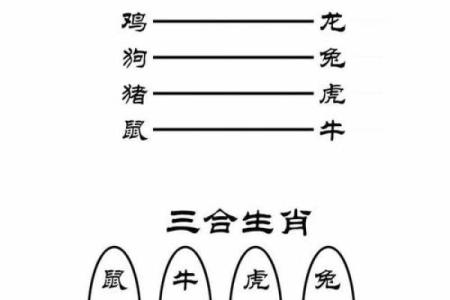 跨越生肖界限，虎鸡配对究竟有何魅力？