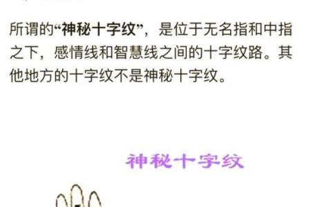 掌中奥秘：文约纹手相图，揭秘你的命运密码
