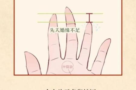 揭秘手相奥秘：一招看透命运，快来测测你的手相吧
