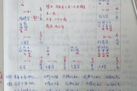 想知道自己的命运？免费紫微命格排盘帮你解析一切