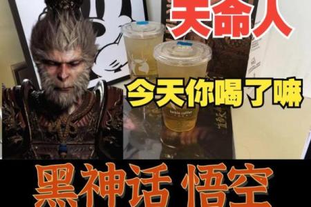 揭秘：天一命究竟属于何方神圣？