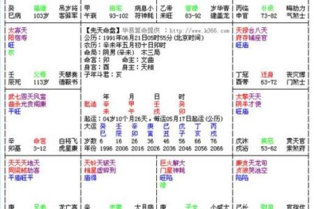 深入四柱排盘：中华预测网为你提供最精准的命理分析