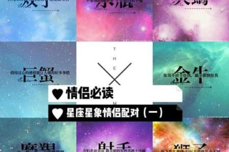 星座配对秘籍：完美情侣速配指南