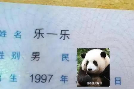 于子名字分析，挑选一个命运之名