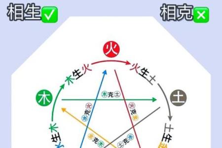 94年运势大揭秘：揭秘94年出生者的五行命理