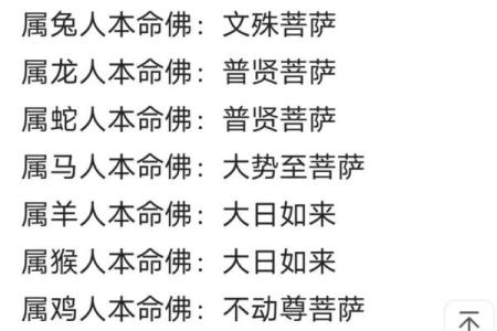 樱桃红运：揭秘十二生肖中的甜蜜守护神