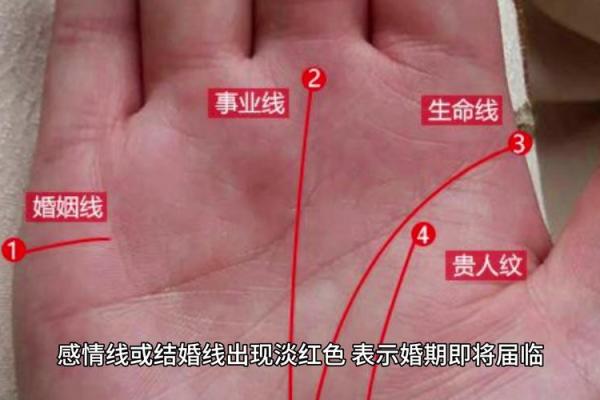 手相揭秘：嫁得好的女人，这四个特征一眼就能看出