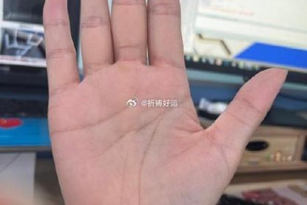 拒绝手相大师，揭秘如何优雅地说不