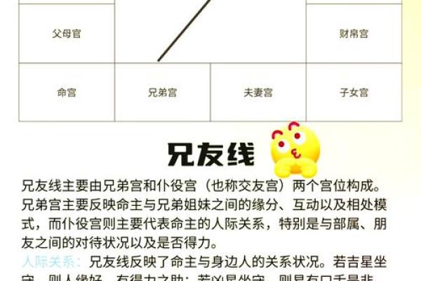 小拇指下竖线揭秘：你的运势密码