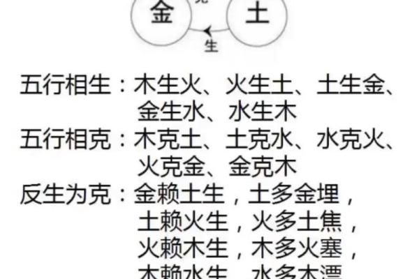 天干地支与命理学：你必须了解的基础知识
