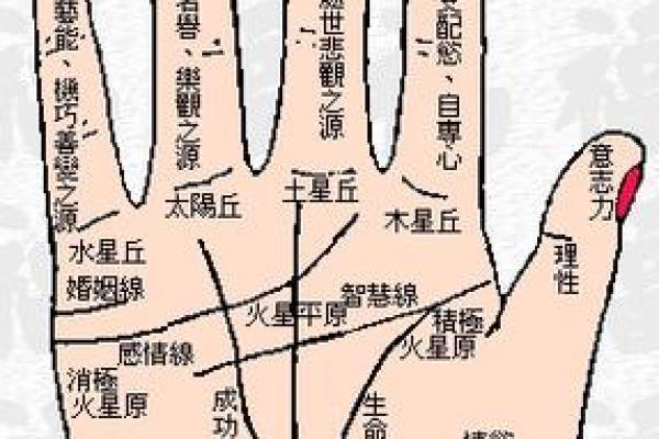 揭秘男人生理命运，手相手纹图解大全，解锁你的命运密码