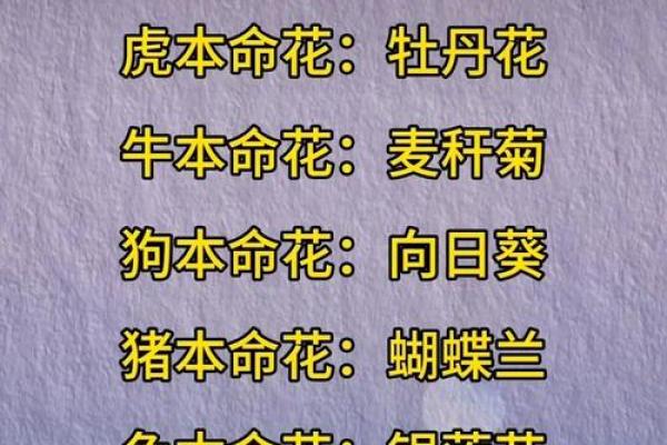 想了解未来？免费八字排盘精批等你来试