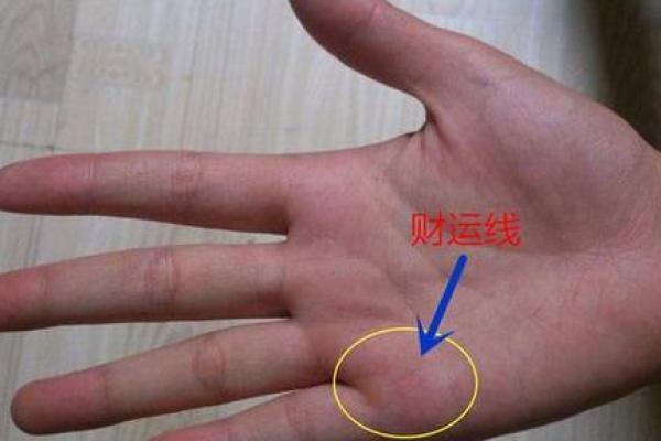 揭秘手相中的小鱼之谜：手相里的财富密码，你掌握了吗？