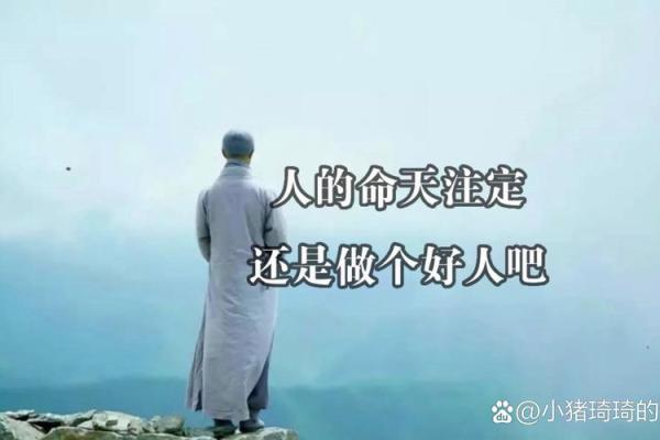 运命之间，谁主沉浮？