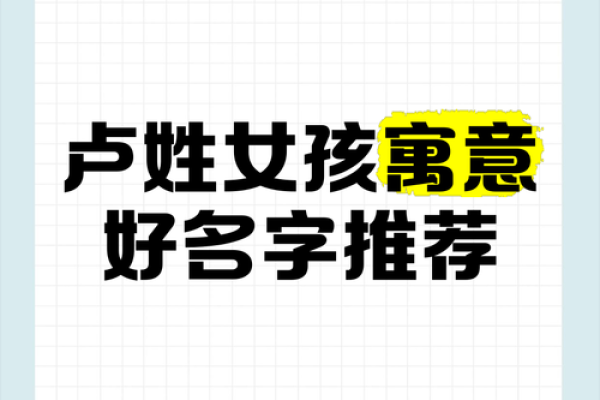 给卢姓男孩起个独特又有意义的名字