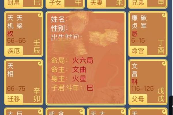 紫微排盘详批：解锁你的婚姻密码，免费分析夫妻缘分