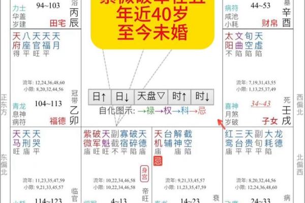 紫微排盘详批：解锁你的婚姻密码，免费分析夫妻缘分