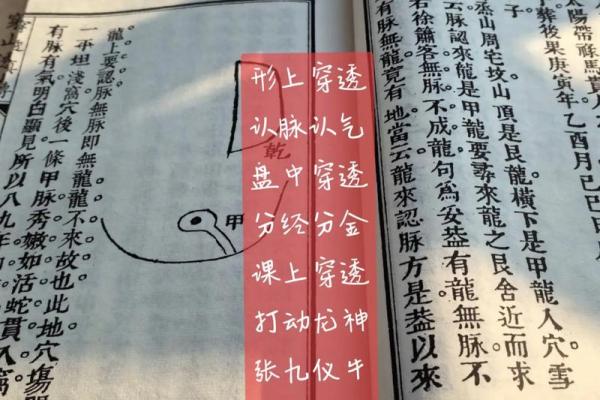 命理月气分金诀的深度解析，你必须知道的秘密