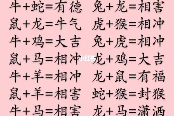 鼠年生肖配对秘籍：找出与你最相配的生肖，幸福一生