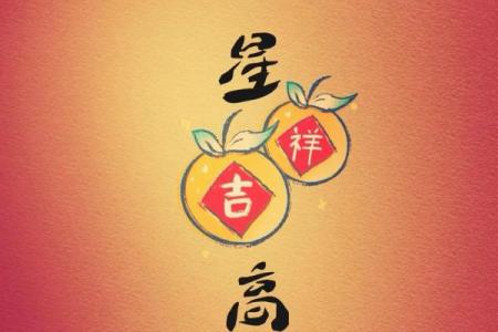 生肖运势揭秘：最适合你的楼层，财运亨通吉星高照