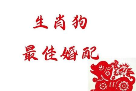 狗年出生的情侣配对指南