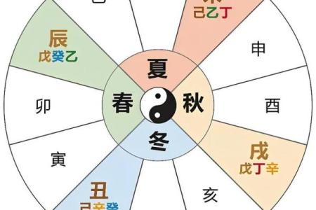 天干地支与命理学：你必须了解的基础知识