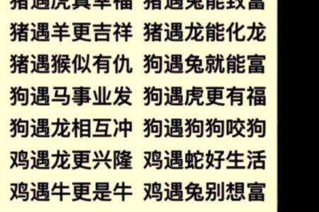 羊猴相配，揭秘这对组合的默契之谜