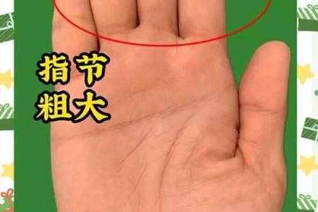 揭秘男人生理命运，手相手纹图解大全，解锁你的命运密码