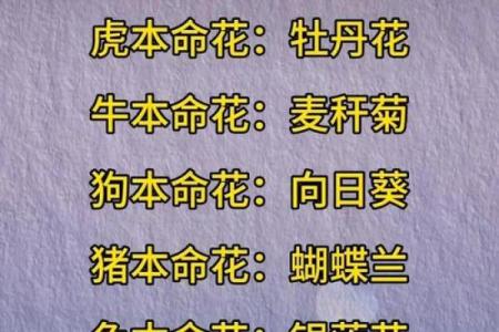 想了解未来？免费八字排盘精批等你来试