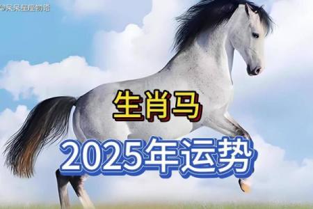 五月春风送福来，1990年属马的你，今年运势如何？