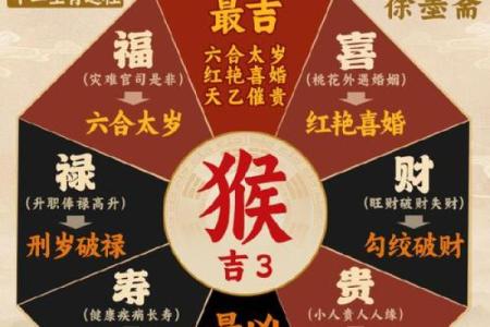 揭秘：天干背后的生肖奥秘，你属于哪个生肖？