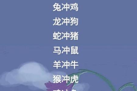 兔马配对：跨界爱情火花四溅