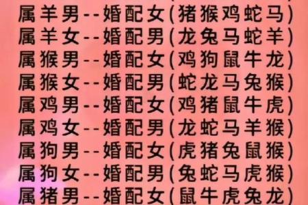 狗虎配对：揭秘属狗男和属虎女的爱情密码