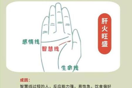手纹与命理学：如何通过双手了解自己的命运