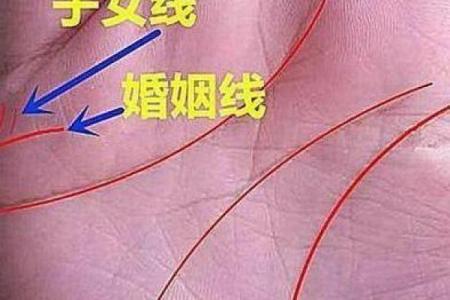手相揭秘：婚姻线断言你的爱情命运，速来对号入座