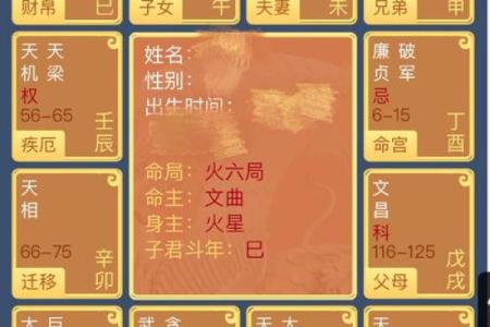 紫微排盘详批：解锁你的婚姻密码，免费分析夫妻缘分