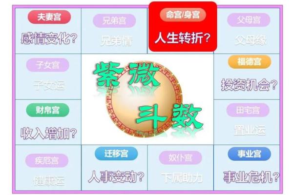 揭秘排命盘：探寻命运奥秘的神奇指南
