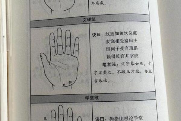 富豪手相揭秘：揭秘你命中的财富密码